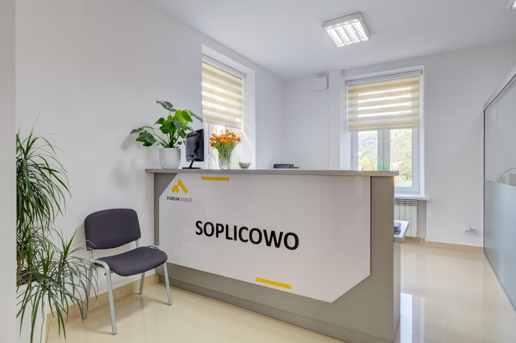 Отель Soplicowo Крыница-Здруй Экстерьер фото
